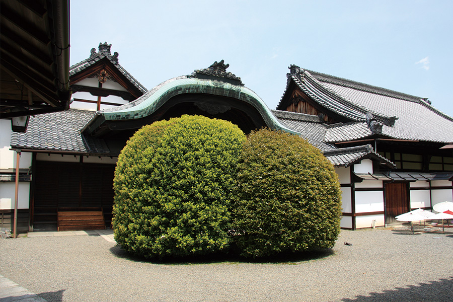 宝鏡寺門跡