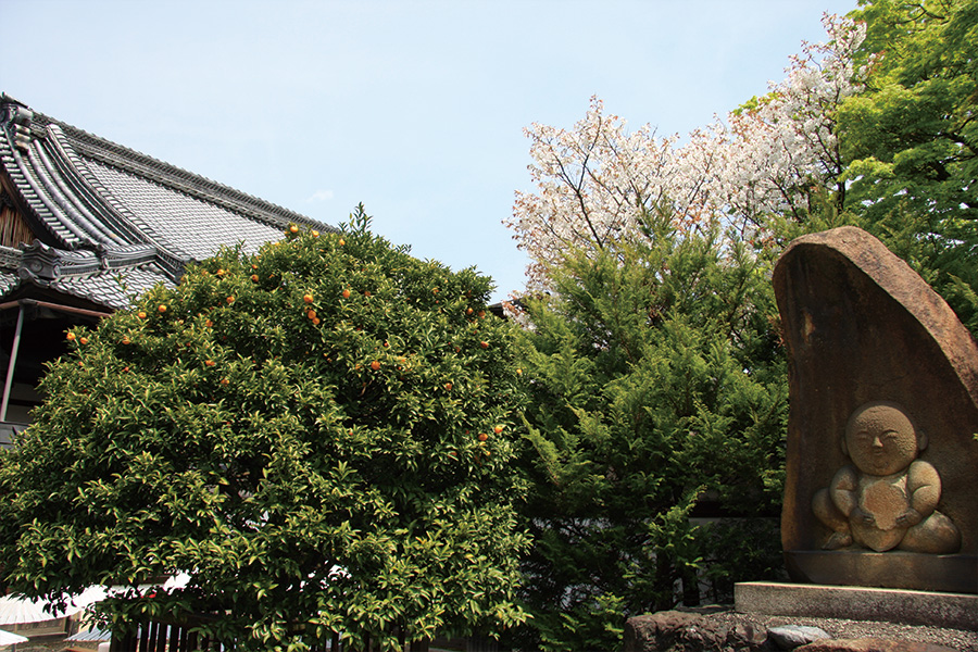 宝鏡寺門跡