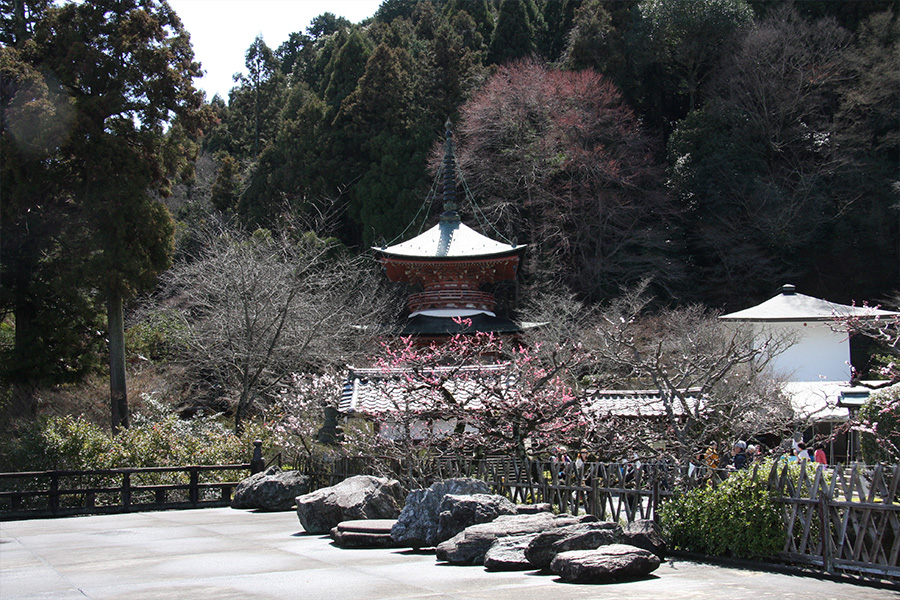 法輪寺