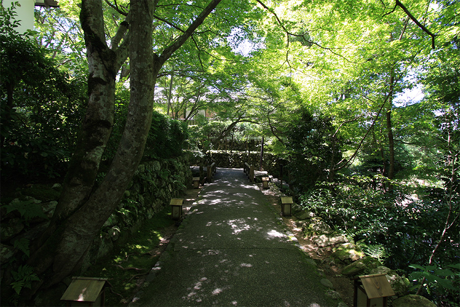 宝泉院