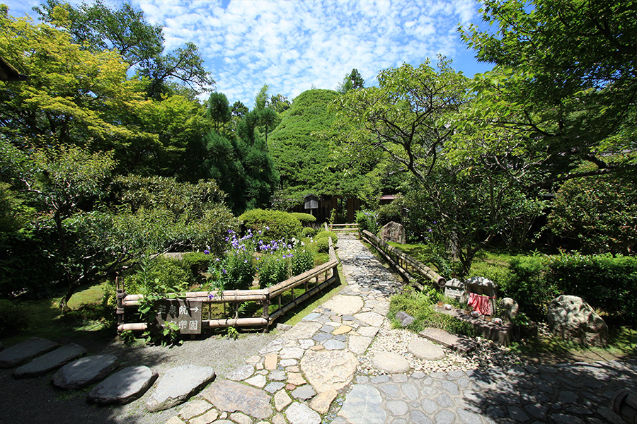 宝泉院