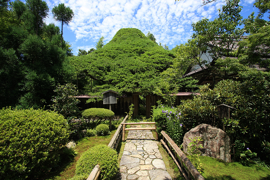 宝泉院