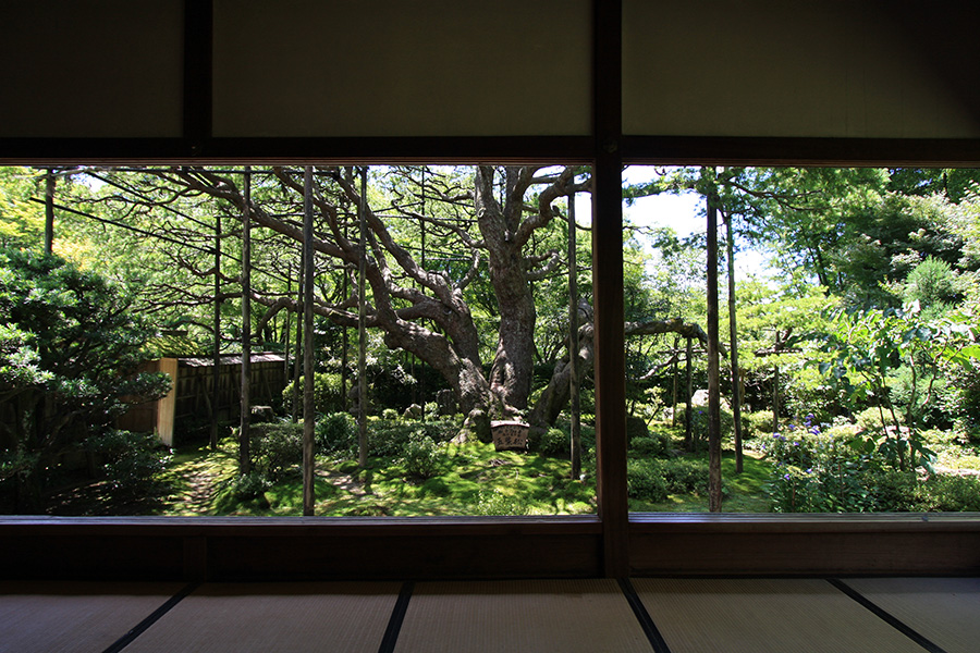 宝泉院