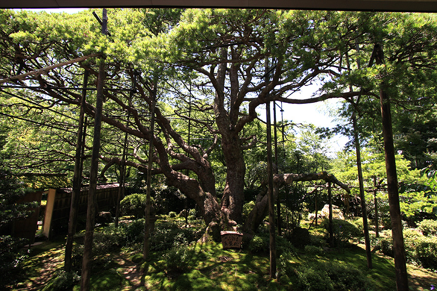 宝泉院