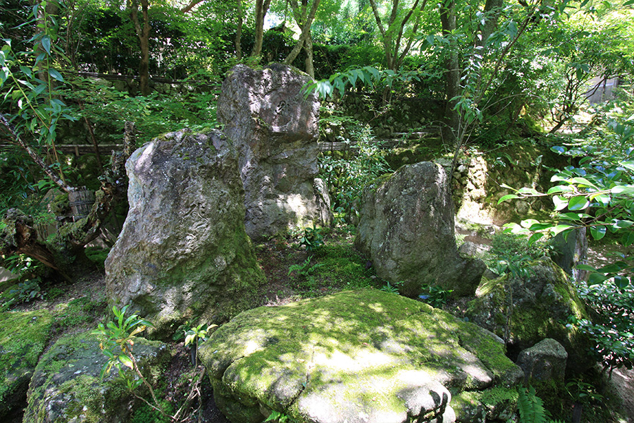 宝泉院