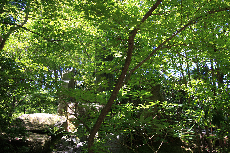 宝泉院