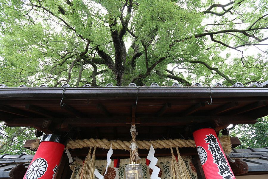 新熊野神社