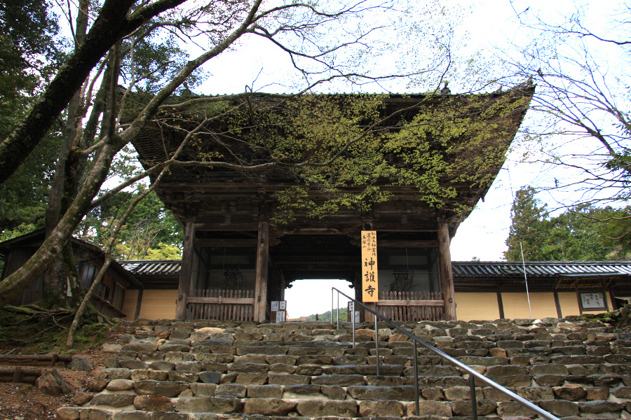 神護寺