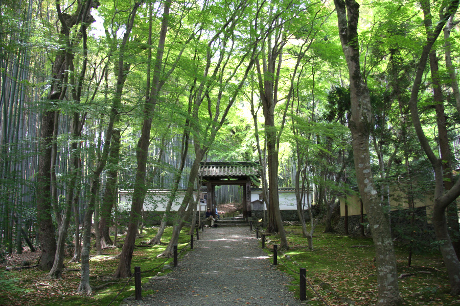 竹の寺 地蔵院