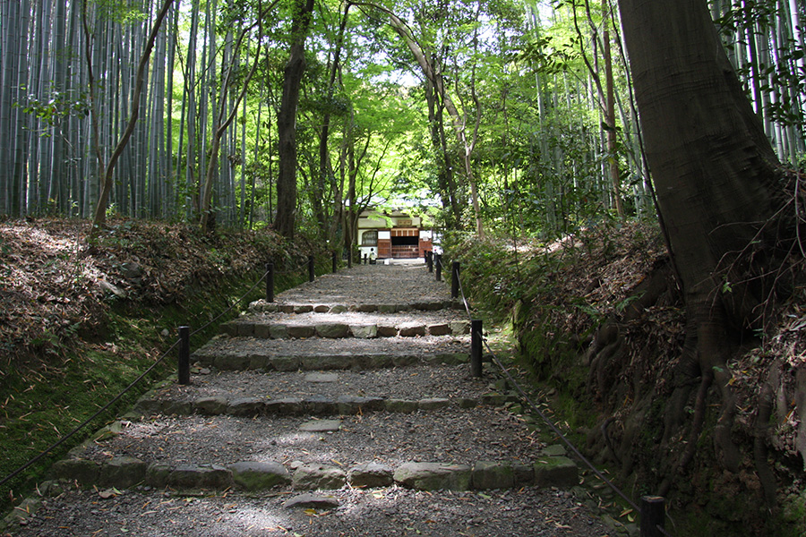 竹の寺 地蔵院