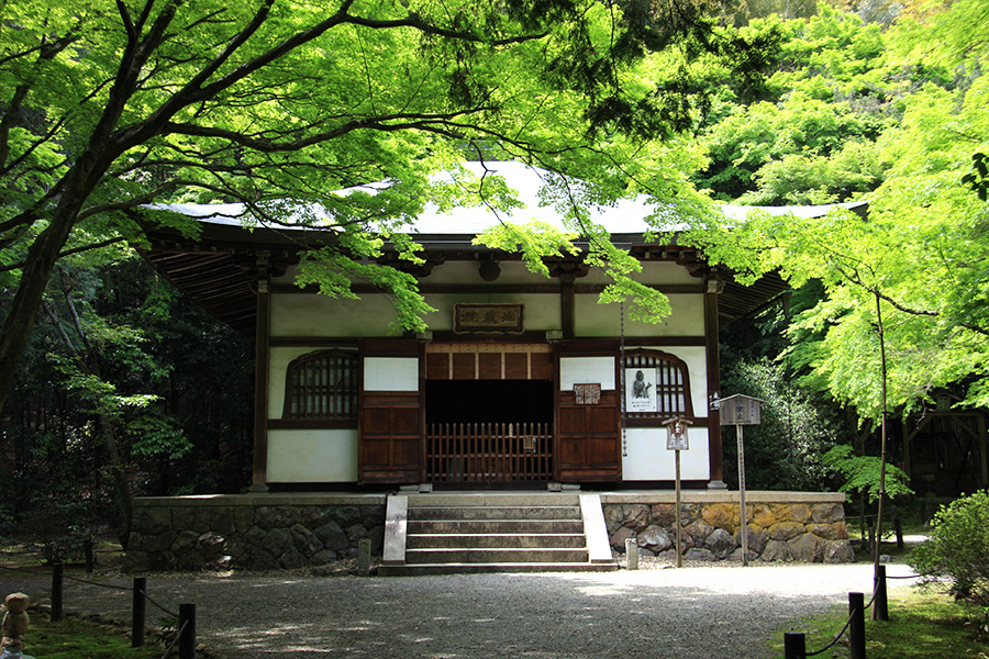 竹の寺 地蔵院