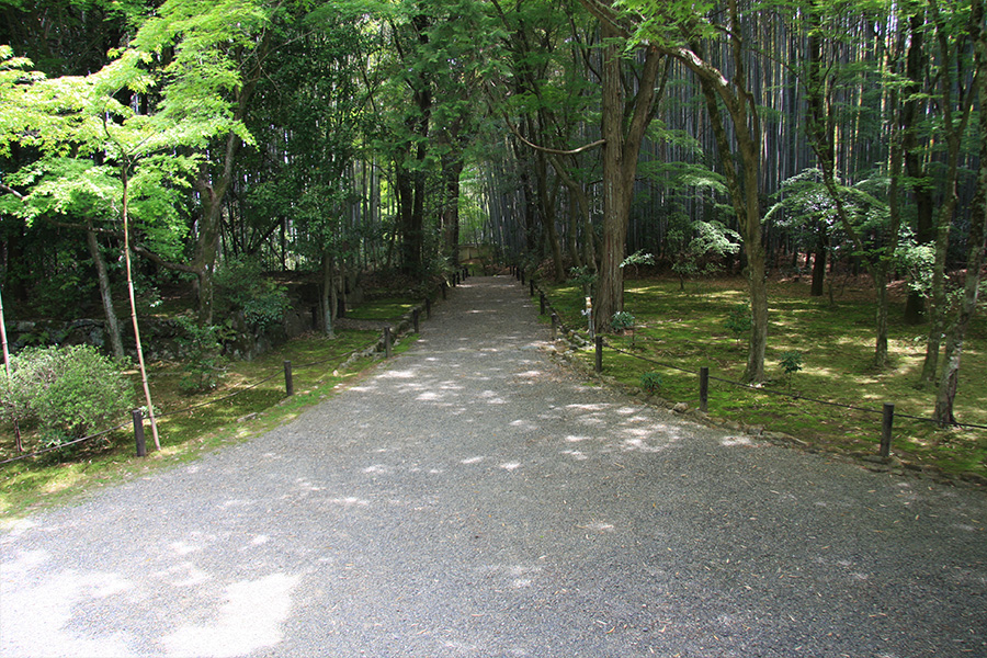 竹の寺 地蔵院