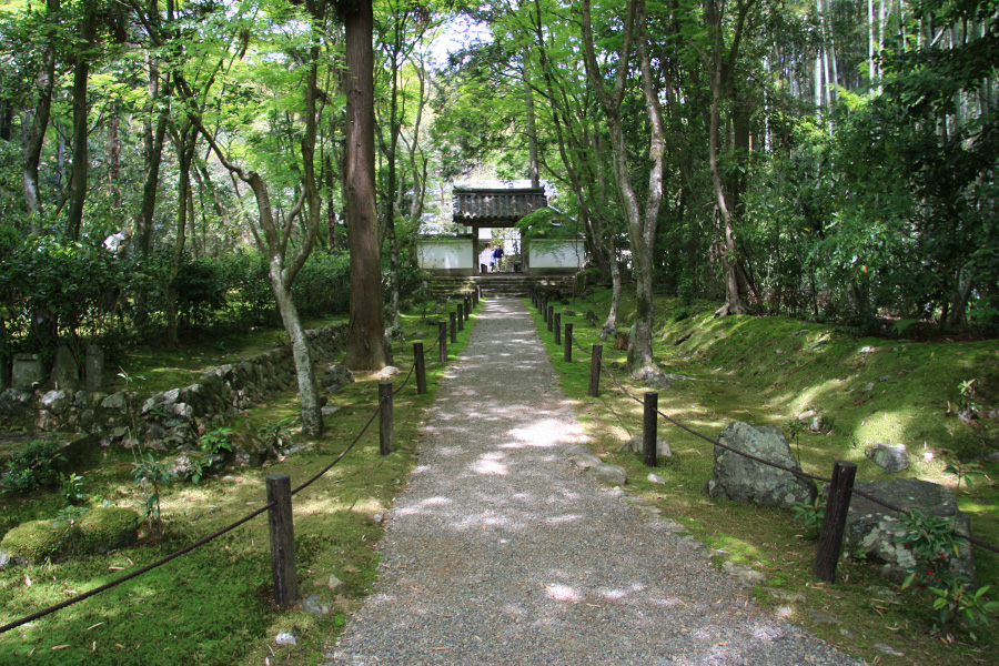 竹の寺 地蔵院