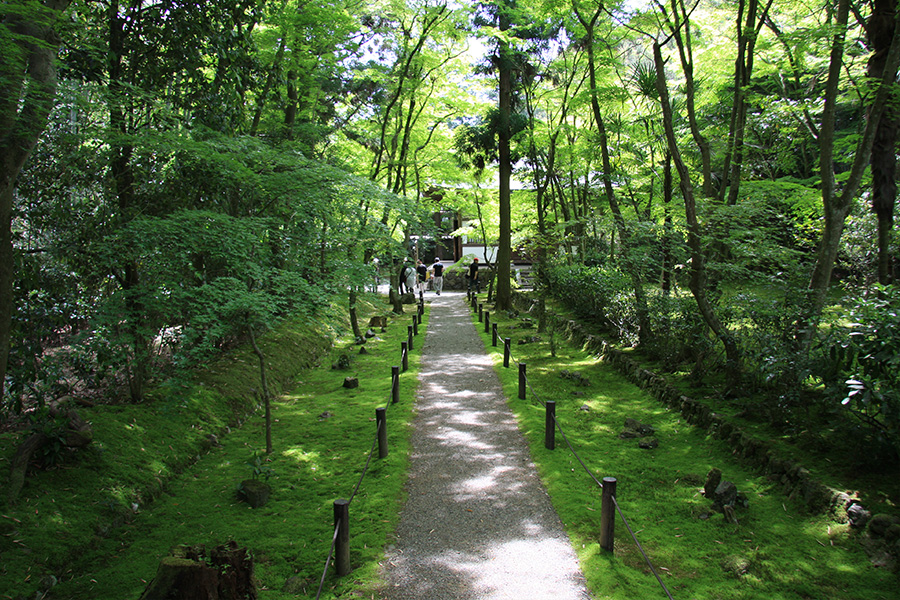 竹の寺 地蔵院