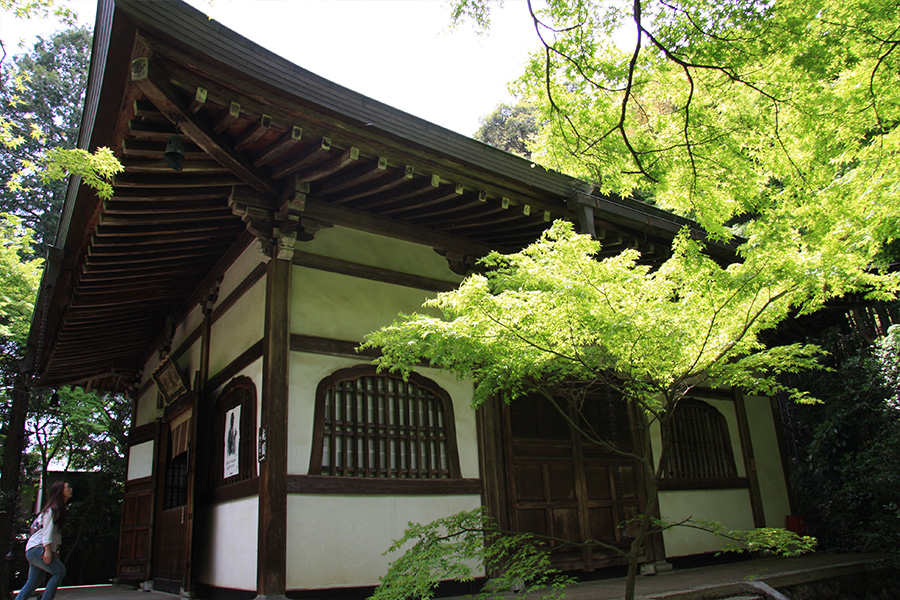 竹の寺 地蔵院