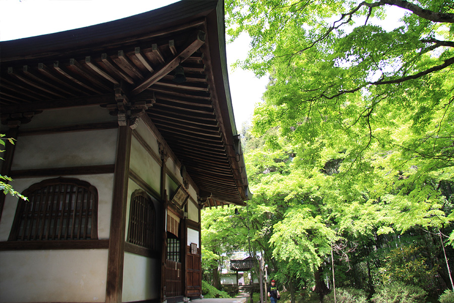 竹の寺 地蔵院