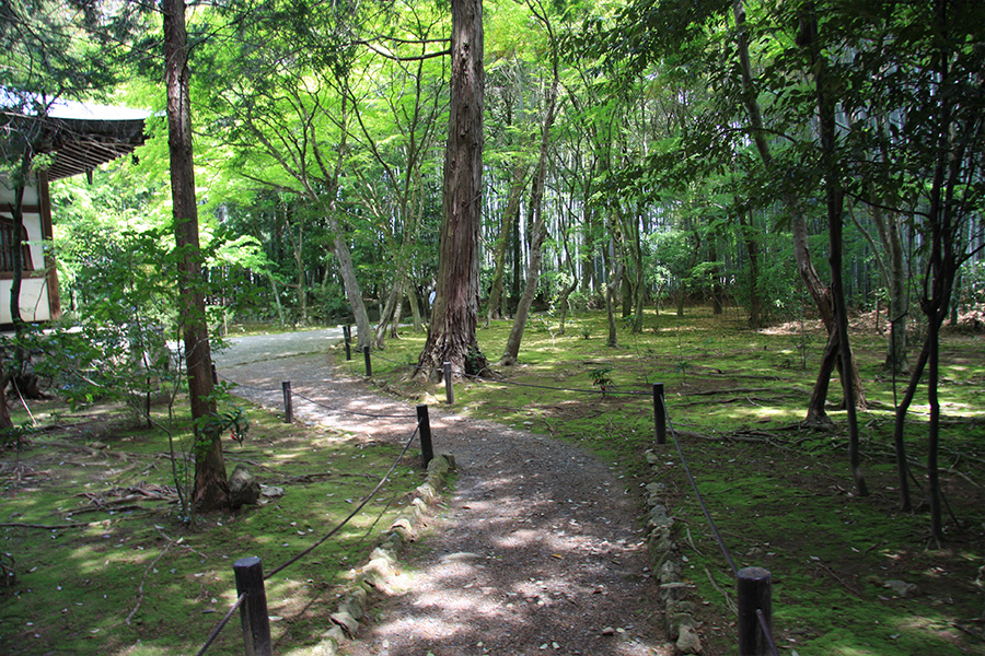 竹の寺 地蔵院