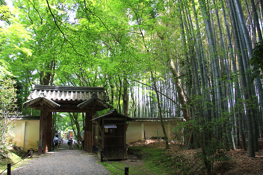 竹の寺 地蔵院