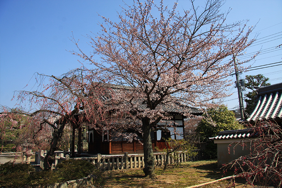 上品蓮台寺