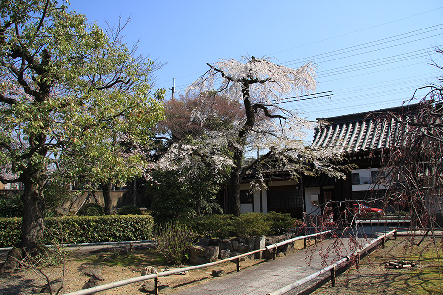 上品蓮台寺