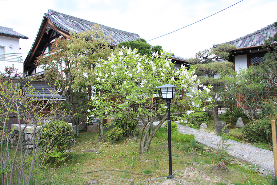 常林寺