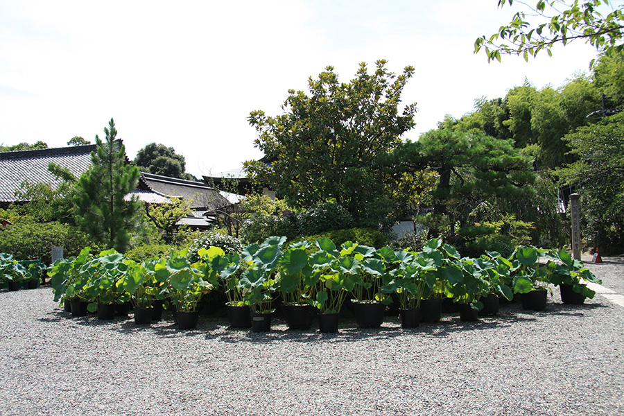 勧修寺