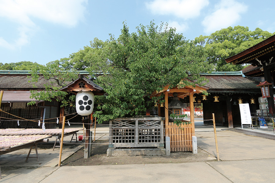 北野天満宮