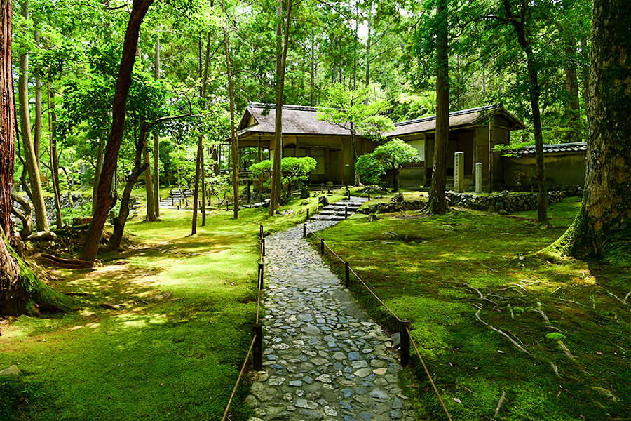 苔寺（西芳寺）