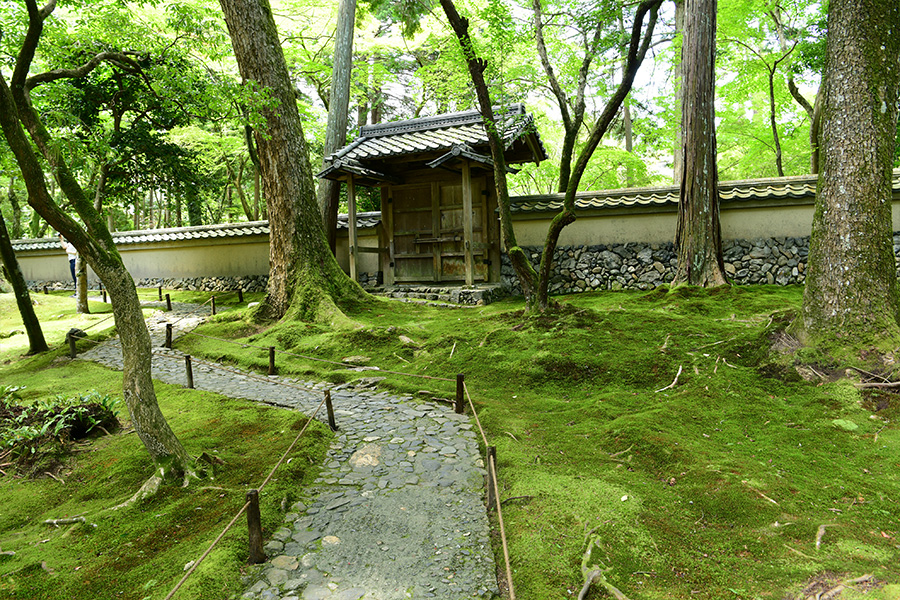 苔寺（西芳寺）