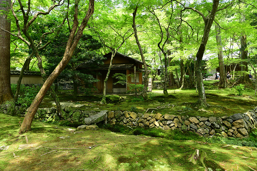 苔寺（西芳寺）