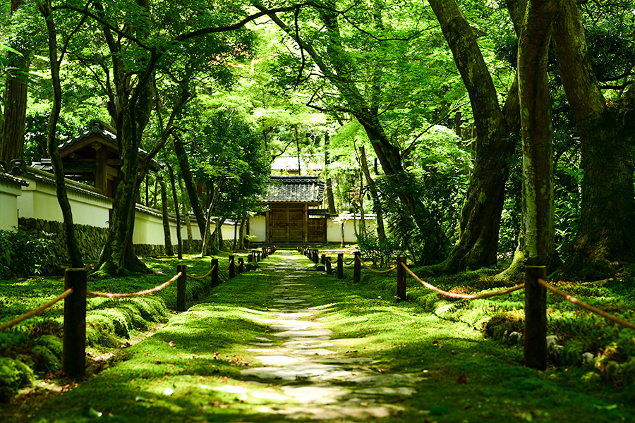 苔寺（西芳寺）