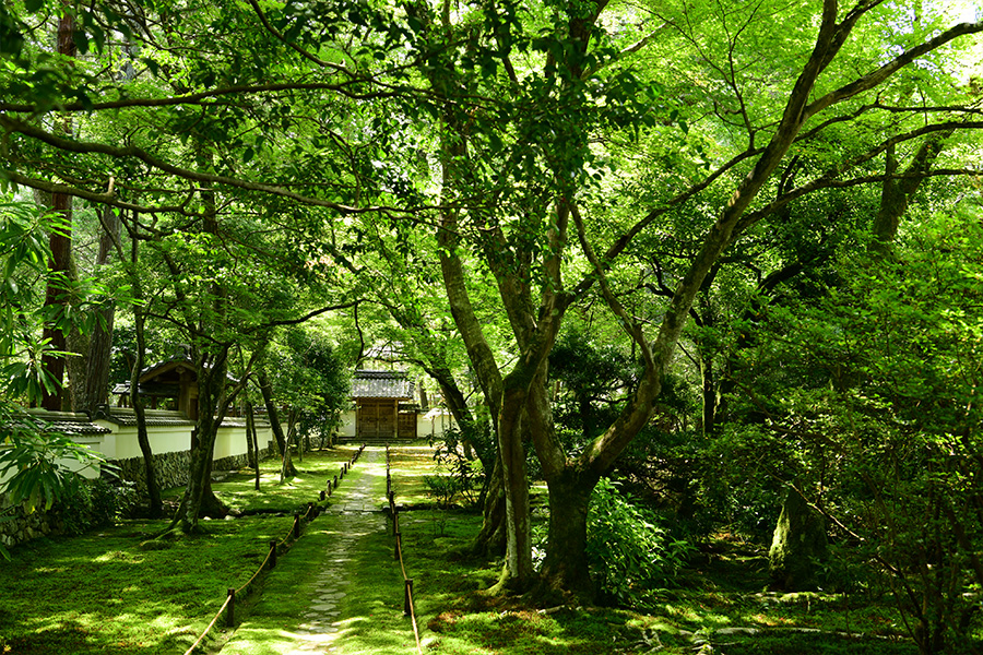 苔寺（西芳寺）