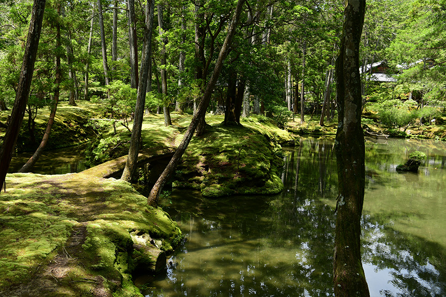苔寺（西芳寺）