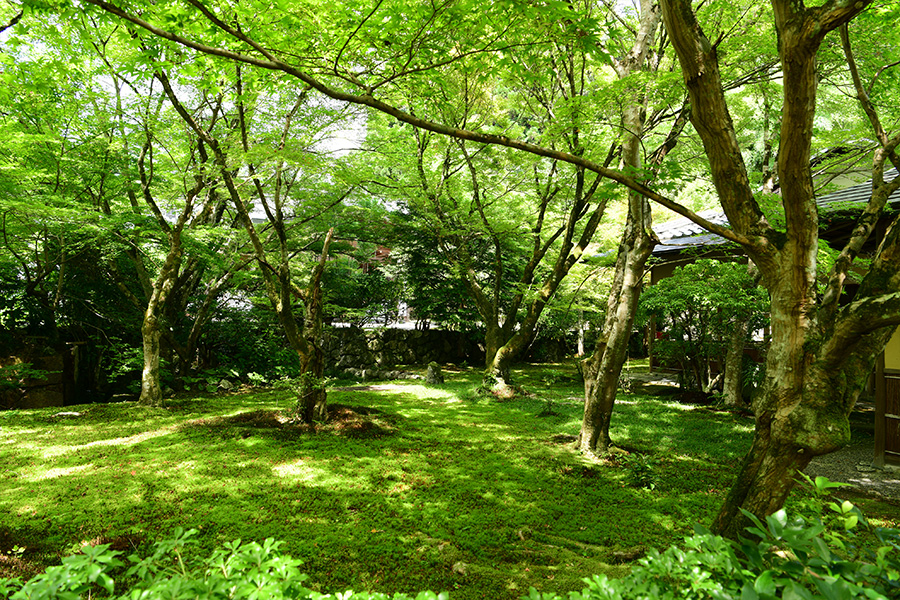 苔寺（西芳寺）