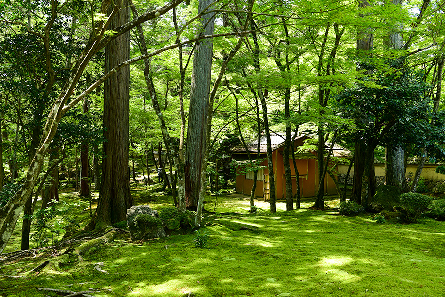 苔寺（西芳寺）