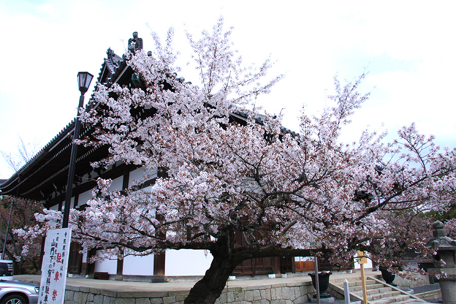 金戒光明寺