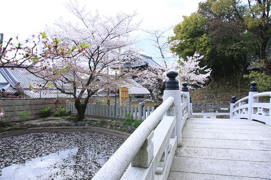 金戒光明寺