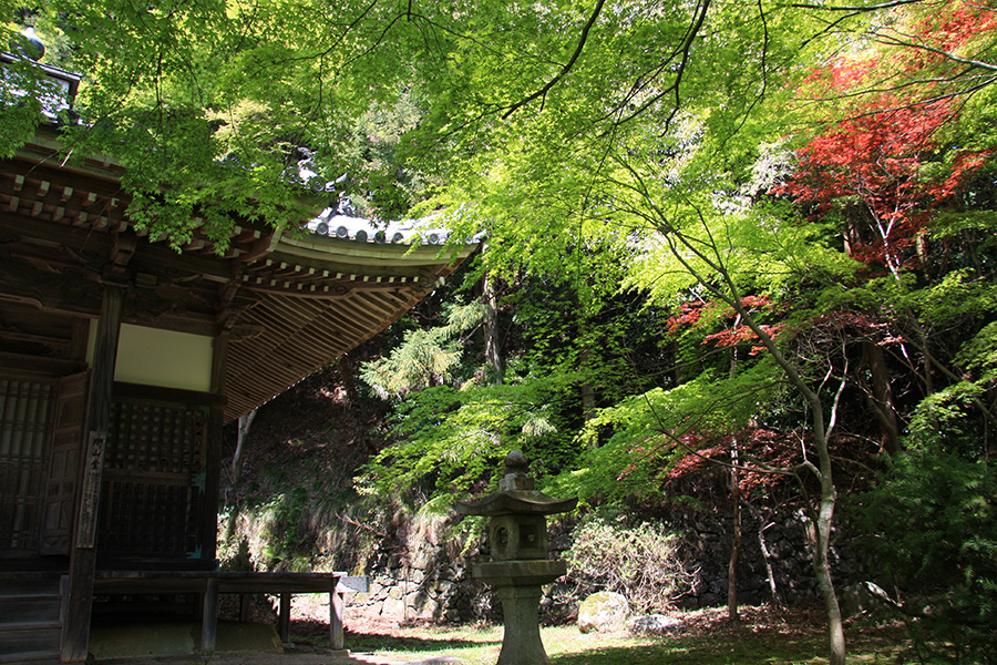 金蔵寺