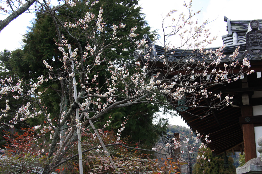 弘源寺