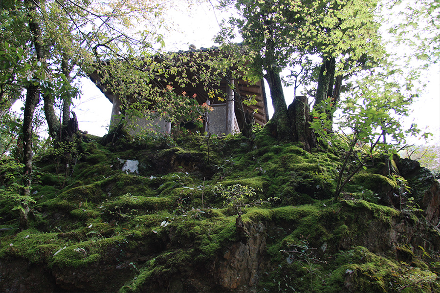 高山寺