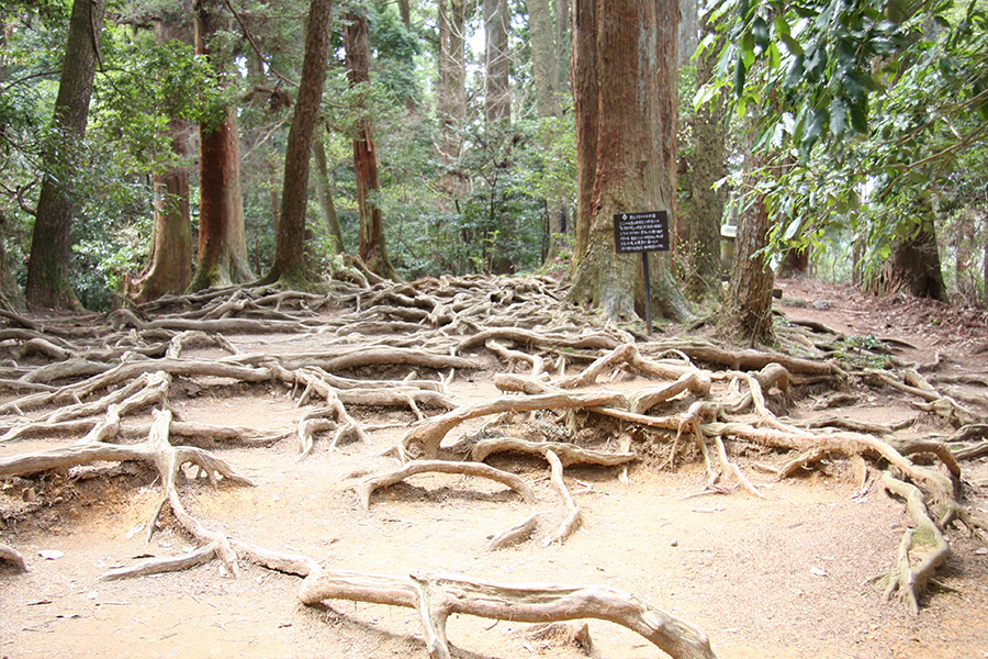 鞍馬寺