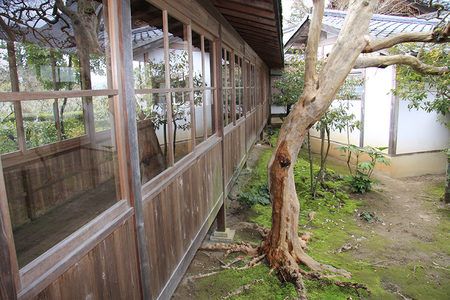 曼殊院