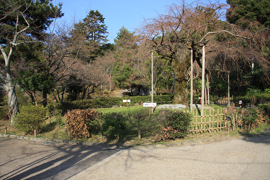 円山公園