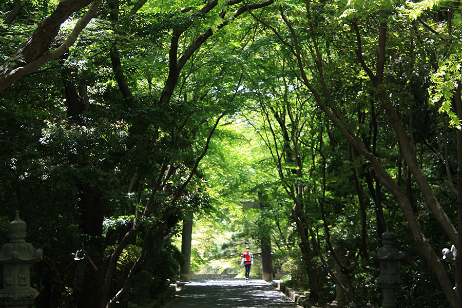 大原野神社