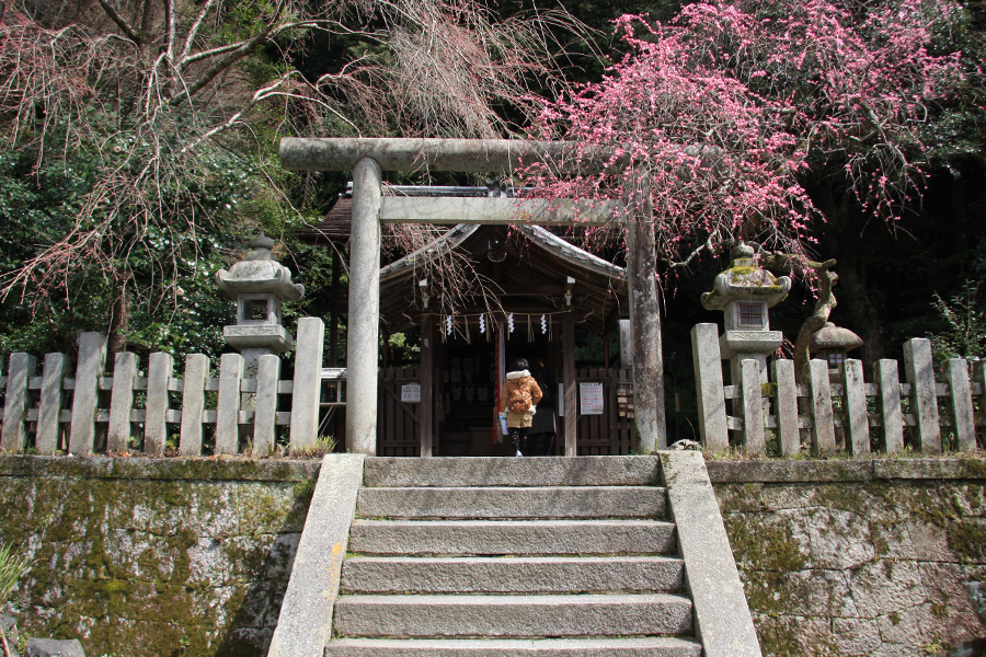 大豊神社