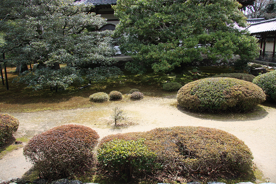 鹿王院