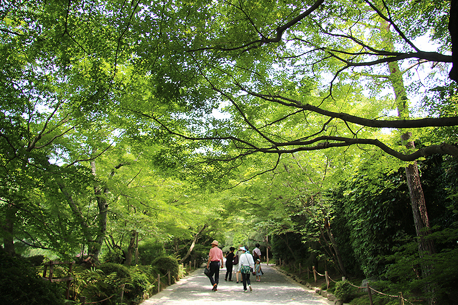 龍安寺