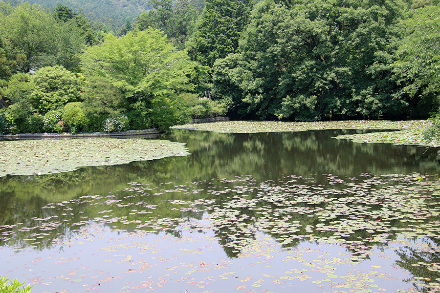 龍安寺