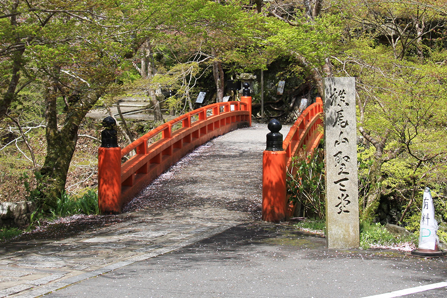 西明寺