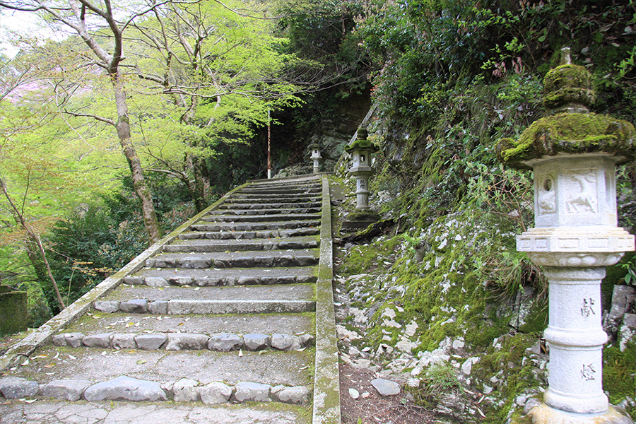 西明寺